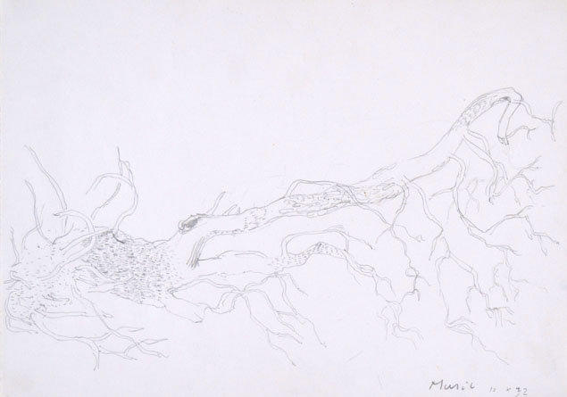 Anton Zoran Music, uprooted tree